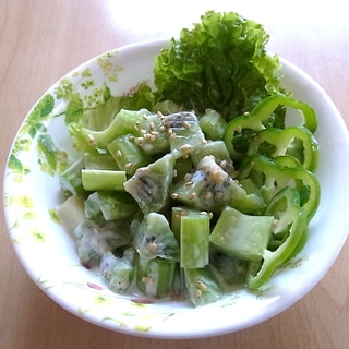 キウイと緑野菜のクリーミーサラダ
